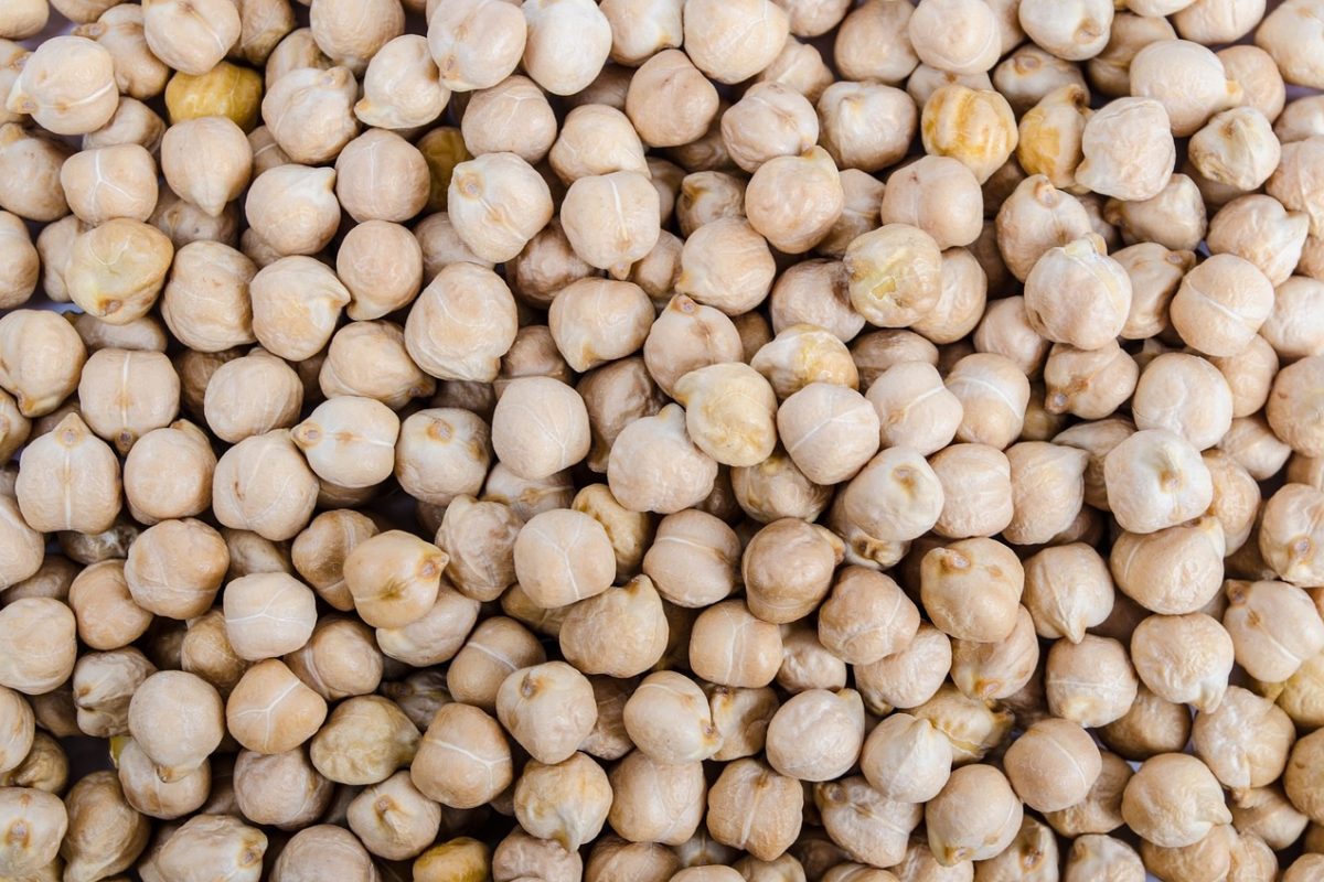 chickpea-316593_1280