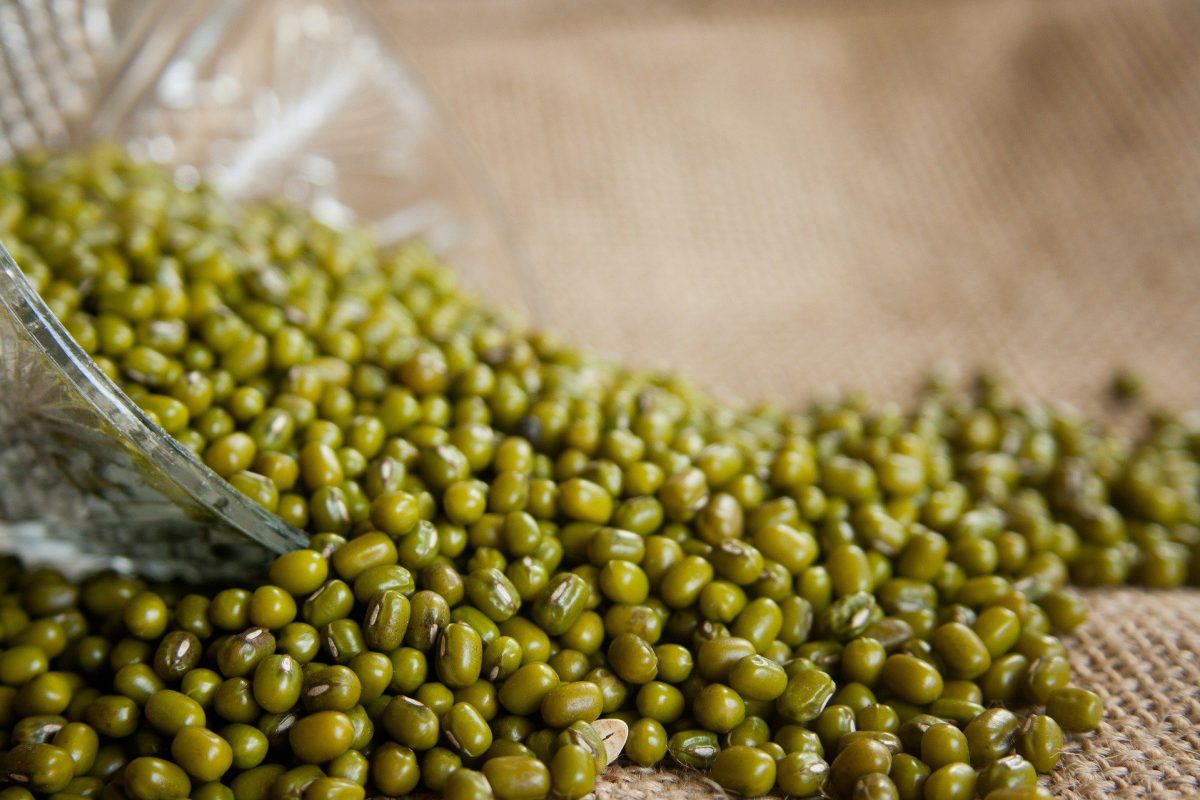 mung-beans-166996_1920