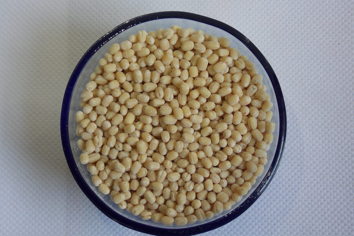 urad-dhal-1750930_1920